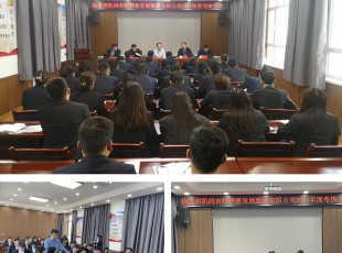 必发888召开2021年度向导班子和向导 干部审核大会